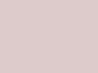 Animation Hover